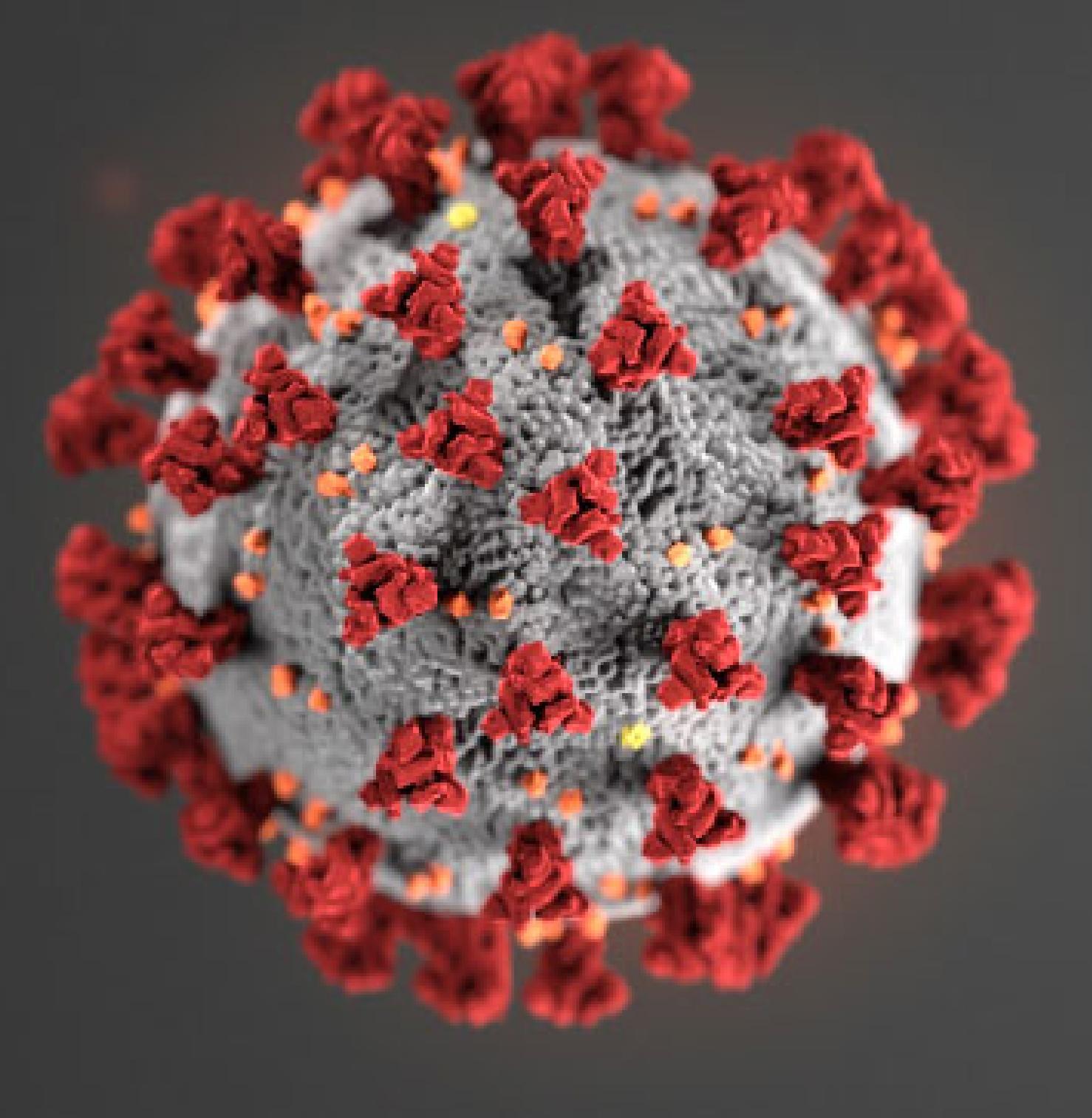 Рекомендации ВОЗ против распространения вируса COVID-19